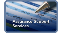 Assurance Support Services