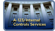A-123/Internal Conrols Services