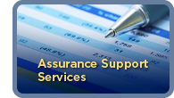 Assurance Support Services